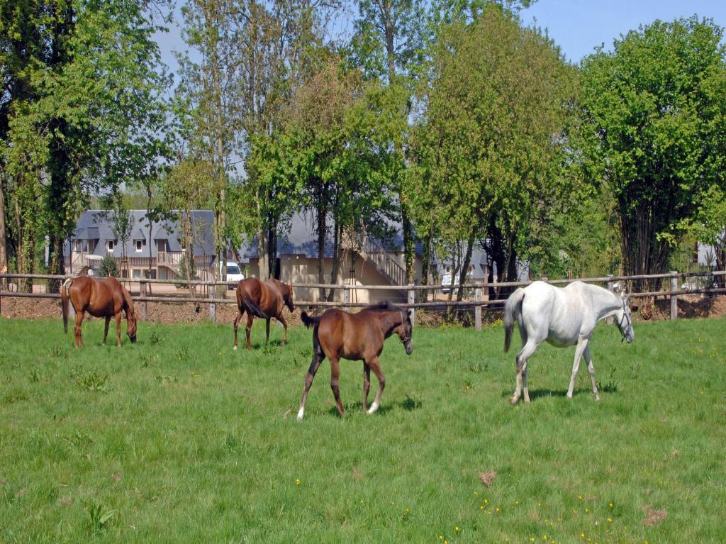 Les Manoirs De Tourgeville Deauville Room photo